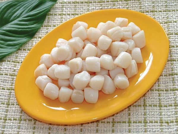 Scallop from 중국 supplied by Fortune Seafood Co,Ltd - Sea Scallop (=Placopecten magellanicus=Weathervane Scallops=North Atlantic Sea Scallop=) 냉동 가리비