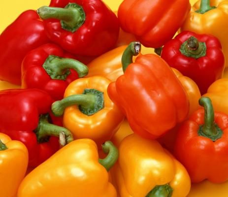 Bell Pepper from China supplied by Hebei Shenhua Agricultural Development Co., Ltd. - Yellow Fresh Bell Pepper