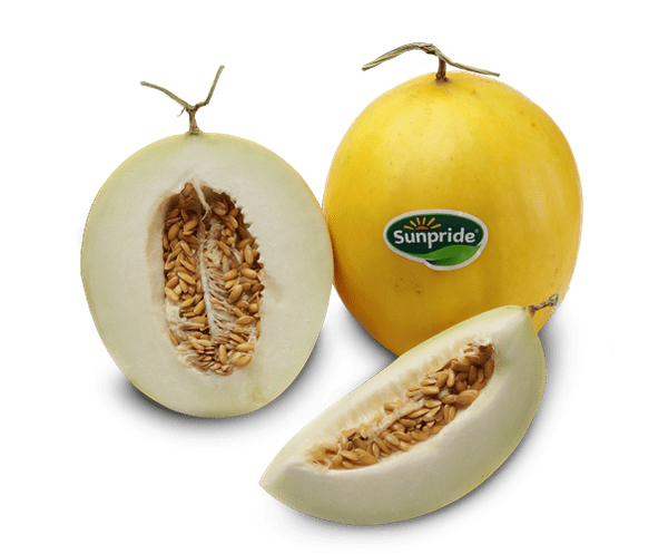 Golden Melon from 인도네시아 supplied by PT Sewu Segar Nusantara - Golden 신선 멜론(머스크 멜론)