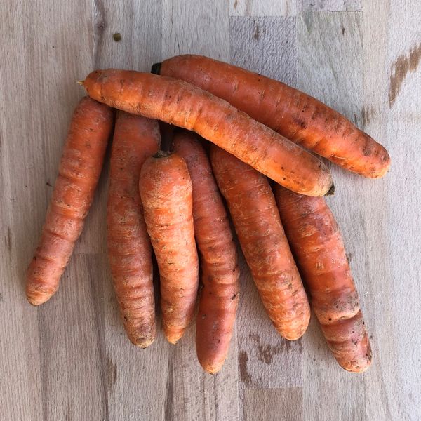 Carrots from Switzerland supplied by Bio Wäberhof - Purple (=Black) Fresh Carrot