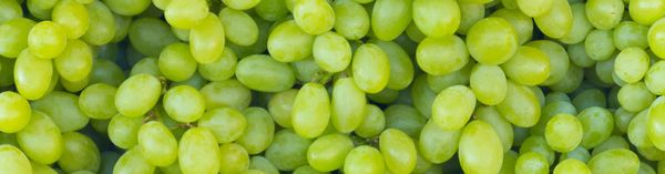 Grapes from Netherlands supplied by Frankort & Koning - Green (=Unripe=Sour) Fresh Grape