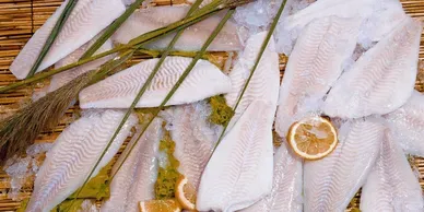 Flounder from United States supplied by Aqua Royale Foods, Inc. - Yellowfin Sole (=Limanda aspera=Pleuronectes asper) Frozen Flounder
