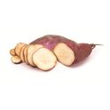 Sweet Potato from 브라질 supplied by Tropic Island - Whole 고구마