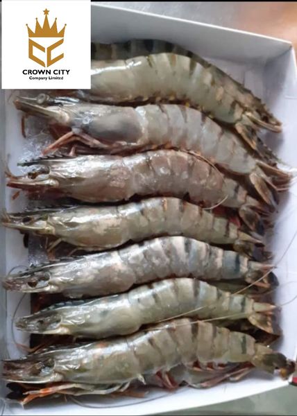 Prawn from Myanmar [Burma] supplied by Crown City Company Limited - Fresh (=Chilled=Raw) Fresh Common Shrimp & Prawn