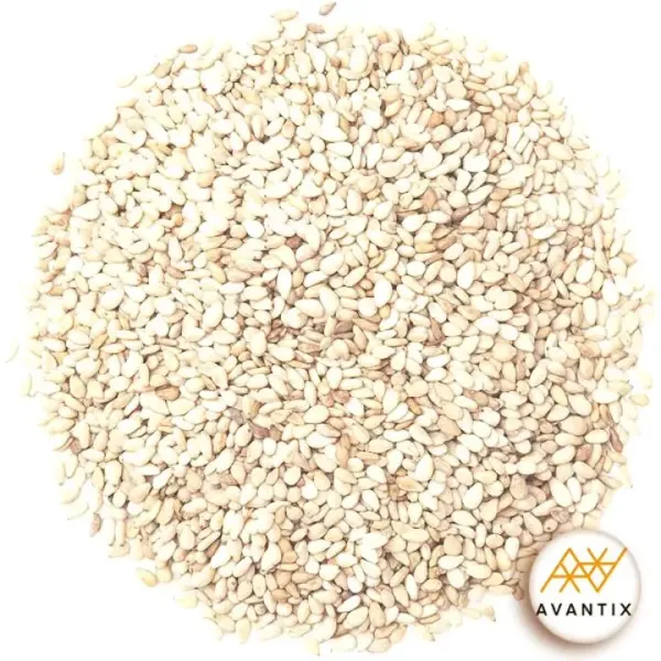 Sesame from 수단 supplied by Avantix - Dehulled (=Dehusked) 참깨