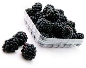 Fresh Blackberry from 과테말라 supplied by Total Fresh - Fresh (=Chilled) 신선 블랙베리