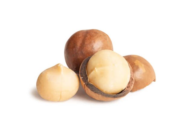 Macadamia, shelled from United States supplied by mac's nut company of hawaii - Salted Macadamia Kernel