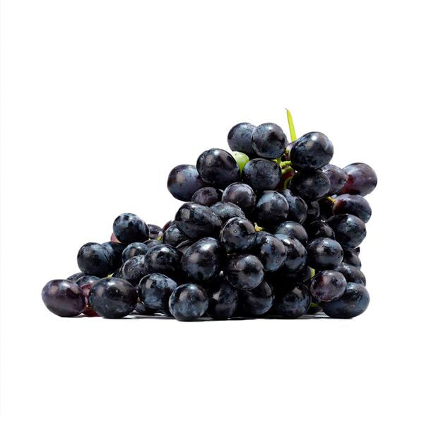 Table Grapes - Black Seedless from South Africa supplied by Core Fruit (Pty) Ltd. - Table Grape Fresh Grape