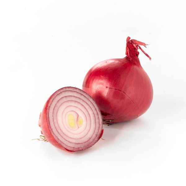 Onion from Netherlands supplied by Troost Jack - Whole Fresh Onion