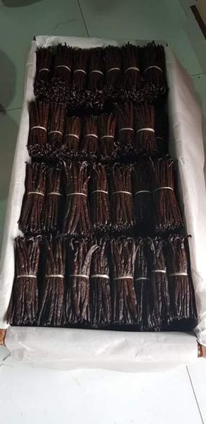 Madagascar Vanilla Beans Gourmet from United States supplied by Videeko Vanilla ZP - Beans Vanilla