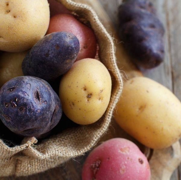 Potato from 미국 supplied by Floyd Wilcox & Sons Inc - 갈색 신선 일반 감자