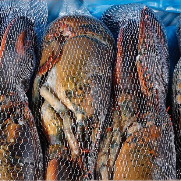 HPP Whole Raw Lobster from 캐나다 supplied by Westmorland Fisheries Ltd. - 원물 냉동 일반 랍스터