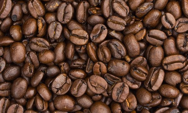 coffee bean from Ivory Coast supplied by AFRICA GLOBAL TRADING SARL - Whole Beans Raw Common Coffee Bean