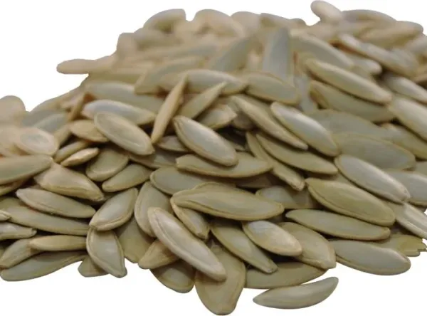 Pumpkin Seed from 튀르키예 supplied by Redruby Food - Lady Nail (=Bulgarian) 호박 씨