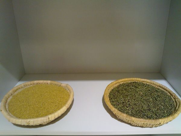 Basil from 이집트 supplied by PHARONIC BIOHERB - Crushed 바질