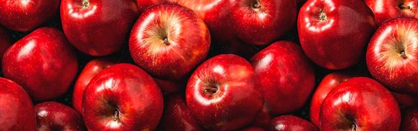 Apple (fresh) from 칠레 supplied by Exportadora del SUR SA - Carton Box (=Cardboard Box) 신선 사과
