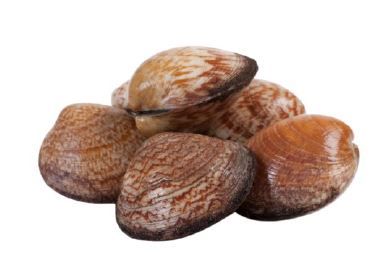 clams from 네덜란드 supplied by Visgroothandel De Jong B.V. - 냉동 조개