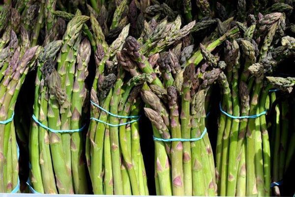 Asparagus from United States supplied by ALVAREZ ORGANIC FARMS - Green-Violet Fresh Asparagus