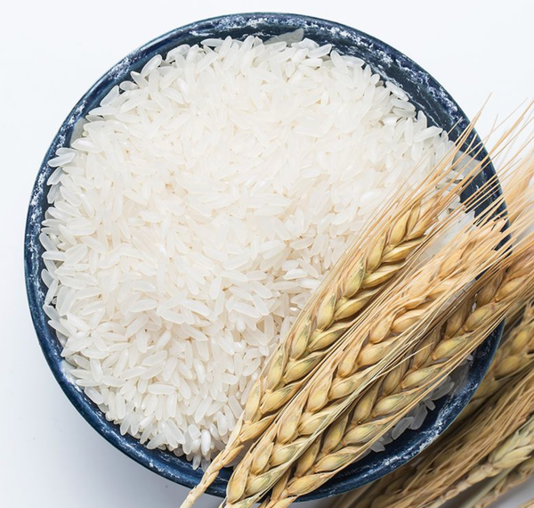 Rice from 우루과이 supplied by Pivetta Hermanos S.R.L. - Whole 쌀