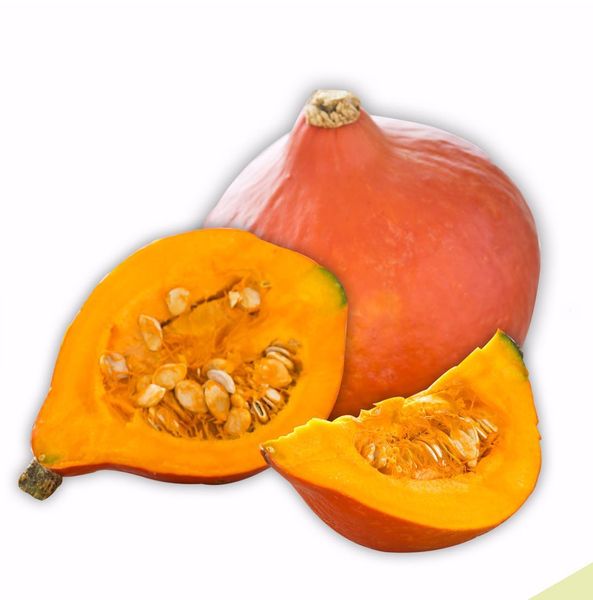 Pumpkin from 독일 supplied by Andreas Kupfer & Sohn GmbH - Orange 신선 호박