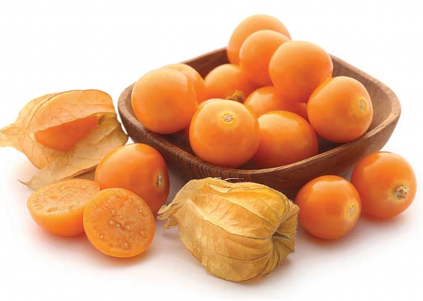 Whole Golden Berry from Peru supplied by SOUTHERN CORPORATION S.A.C. - Whole Cape Gooseberry