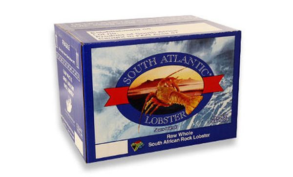 West Coast Rock Lobster from South Africa supplied by Premfresh Seafoods - Whole Fresh Common Lobster