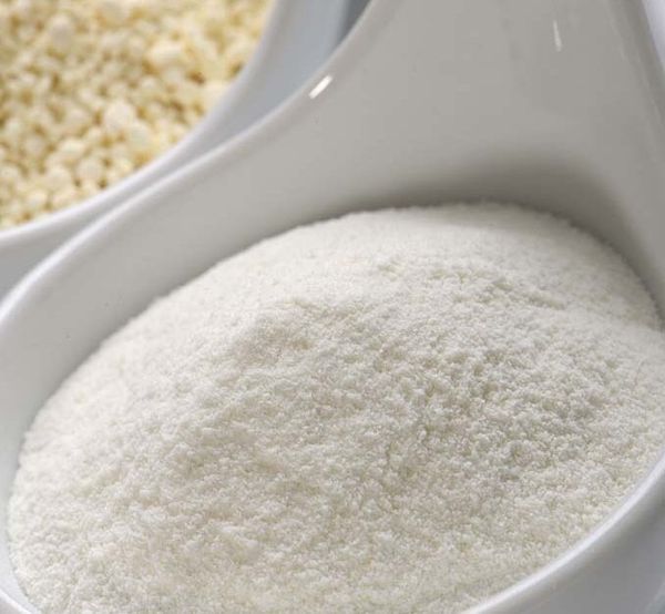 Sweet Whey Powder from 프랑스 supplied by EPI Ingredients - Food Quality 분말훼이