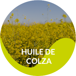 Canola Oil from 프랑스 supplied by La goutte d'or du plateau - Rapeseed Oil 비정제 카놀라유 및 유채씨유