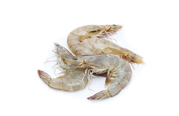Shrimp from 아랍 에미리트 연합국 supplied by Al Khalsan General Trading - Peeled - P&D (Peeled and Deveined) (=PND) 냉동 새우