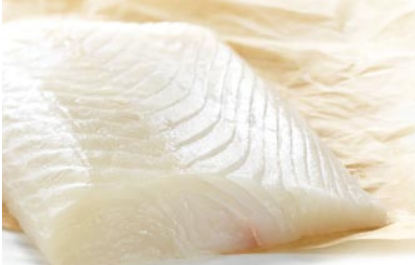 Halibut from 미국 supplied by Westward Seafood - Pacific Halibut (=Hippoglossus stenolepis =Alaskan halibut) 냉동 준치