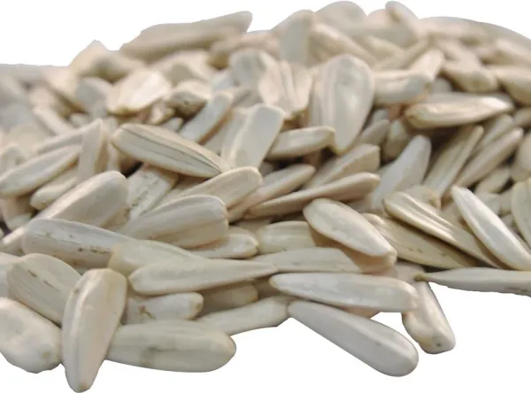 Sunflower Seed from 튀르키예 supplied by Redruby Food - White 해바라기 씨