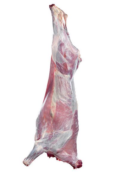 Fresh Beef from 오스트리아 supplied by Vonach Meat - 뼈 있음 신선 미절단 소고기