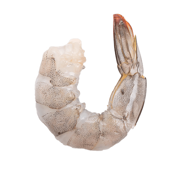 Fresh Shrimp from Honduras supplied by CAMARSUR - Headless Frozen Common Shrimp & Prawn