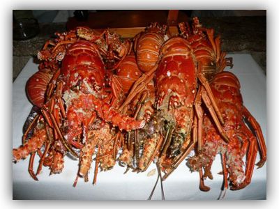 Red Lobster from 멕시코 supplied by Sociedad Cooperativa de Producción Pesquera California de San Ignacio - 하드쉘 신선 랍스터