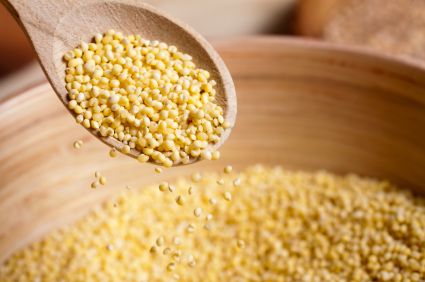 Millet from United States supplied by Mulberry Lane Farm - Whole Millet