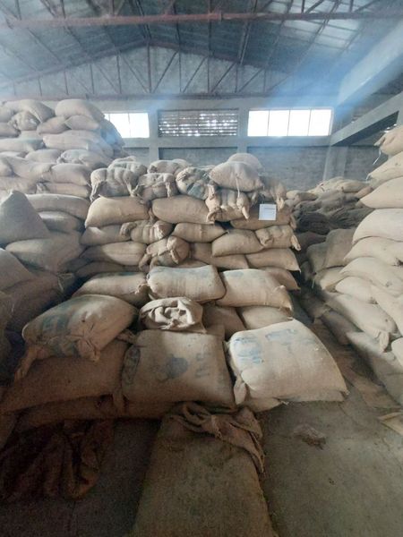 Raw Common Coffee  - Ethiopia from 에티오피아 supplied by Dadiben Trading PLC - Unwashed (=Natural=Dry Process) 생원두