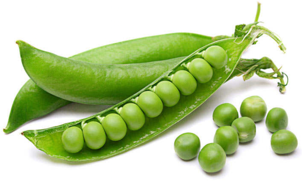 Organic Pea from 그리스 supplied by PAVLIDIS, CHR., GEORGIKI S.A. - Organic 냉동 완두