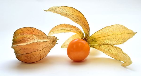 Cape Gooseberry from 콜롬비아 supplied by Heaven´s Fruits - 케이프 구스베리