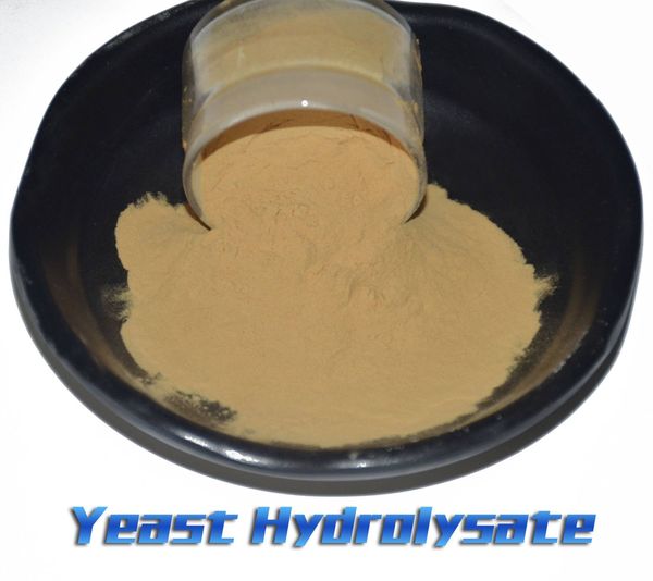 Yeast Hydrolysate from China supplied by Cangzhou Tianyu Feed Additive Co.,Ltd - Light Brown Other Poultry By Product Meal (PBM)