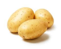 Potatoes from 네덜란드 supplied by Van den Bosch - 갈색 신선 일반 감자