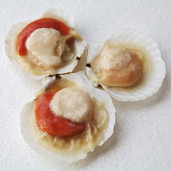 Scallop from 중국 supplied by Dandong Grand Ocean Foods Co.,Ltd. - Fresh (=Chilled=Raw) 냉동 가리비