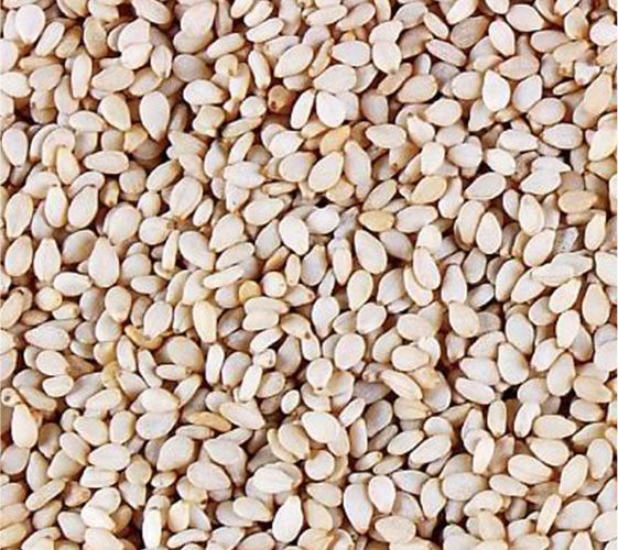 Sesame Seed from Paraguay supplied by Kasba S.A. - White Sesame Seed