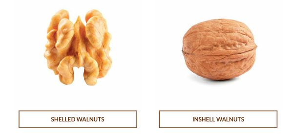 Walnut (Inshell/shelled) from 칠레 supplied by Exportadora Anakena LTDA. - In-shell 생호두