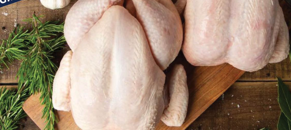 Chicken Meat from 남아프리카공화국 supplied by DC Meat Market - Whole 냉동 미절단 닭고기