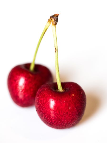 Cherry from Chile supplied by Sociedad Agricola y Comercial Green Agro LTDA - PP Bags Fresh Sweet Cherry