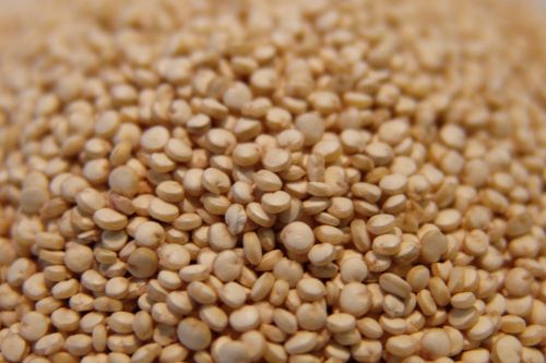 Quinoa from 오스트리아 supplied by CAJ. STROBL NATURMUEHLE GMBH - Whole 퀴노아