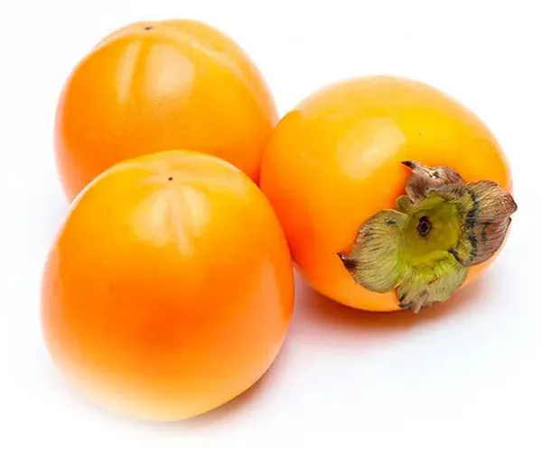 Persimmon from 뉴질랜드 supplied by JP Exports - Asian Persimmon - Kodawari 신선 감