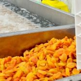 Apricots from 튀르키예 supplied by Baktar Tarim - Carton Box (=Cardboard Box) 신선 자두