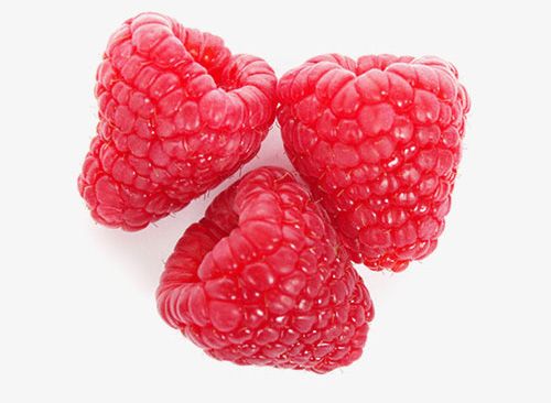 Raspberry from 스페인 supplied by Surberry SL - Lupita 신선 라즈베리