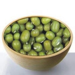 Mung Bean from 파키스탄 supplied by Karim Rice Trader - Dried (=Dehydrated) 말린 녹두